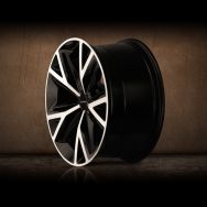 DUX7_22